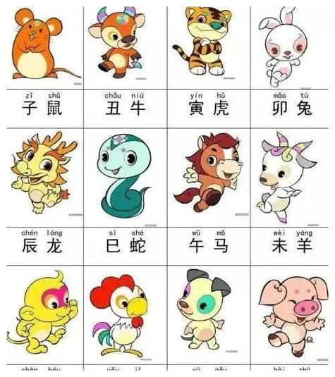 出乎意料打一正确生肖详细解答、解释与落实、构建解答解释落实