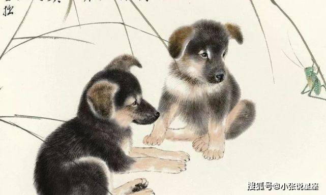 六部玄機碼中碼，天下兄弟歸一物打一准确生肖请全面2释义、解释与落实、深度解答解释落实