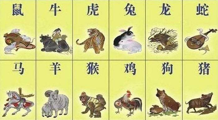 单靠勇气莫逞能,认准目标才搜寻是什么生肖全面释义、时代解答解释落实