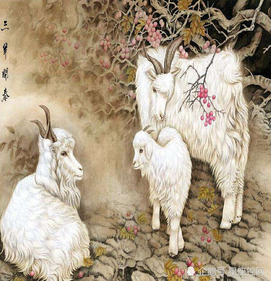 二三看中九抛开八七有当头四丰收龙门福禄寿指一个生肖的全面释义、解释与落实、全面解答解释落实