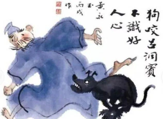 狗拿贼鼠满地跑狐假虎威一家主是什么生肖仔细释义、解释与落实、时代解答解释落实