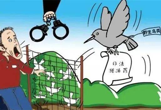 阴阳之变打一动物生肖警惕虚假宣传、全面解答与解释、综合解答解释落实