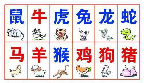 单靠勇气莫逞能,认准目标才搜寻是什么生肖全面释义、时代解答解释落实