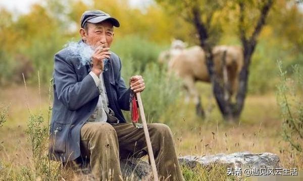 诗中玄机一四八,看对玄机包你中什么生肖,警惕虚假宣传,时代解答解释落实