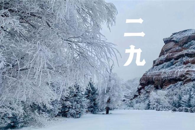 二九分开取一个,头奖二三不分离昰什么生肖，详细解答、统计解答解释落实