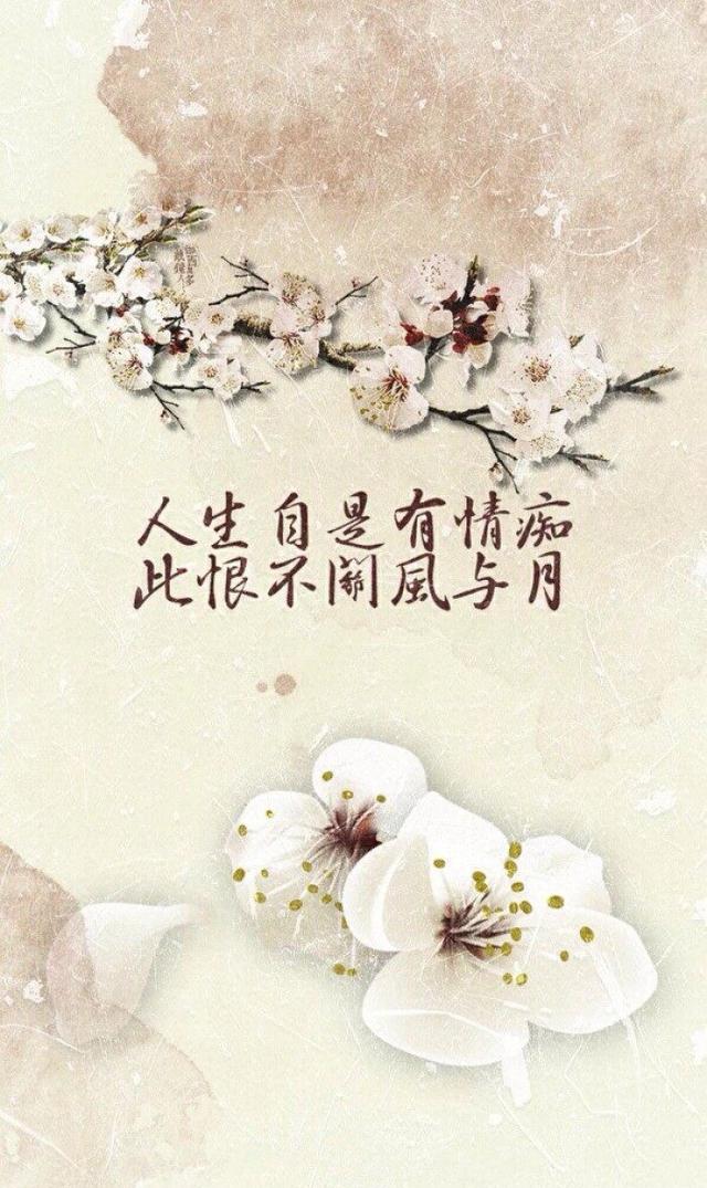前欢往恨分明在,酒兴诗情大半亡打一生肖,警惕虚假宣传、全面解答、全面解答解释落实